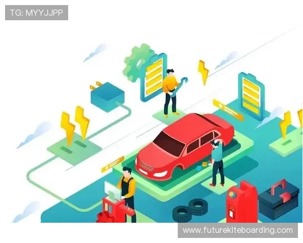 B体育VIP会员制度的优势与不足分析帮助玩家做出明智选择